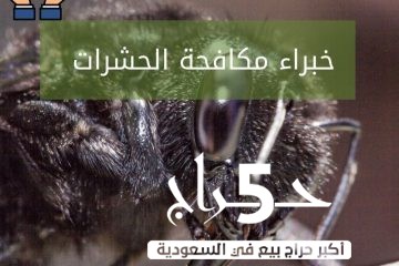 شركة مكافحة حشرات بالعزيزية ,0509599688,خصم 30%